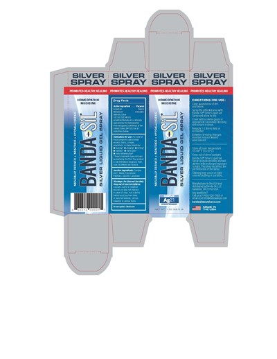 Bandasil Homeopathic Spray Gel Box.jpg Banda-Sil Spray Gel Box - Bandasil Homeopathic Spray Gel Box